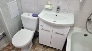 Никогда не делаю генеральную уборку в туалете, но там всегда очень чисто - все благодаря двум правилам