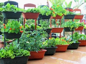 Огород без забот: 5 практичных советов, как создать контейнерный огород или мобильный фруктовый сад