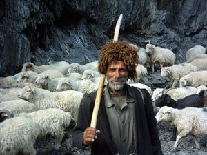 Пастух, возвращаясь с пастбища, привёл в аул неизвестное существо, которое повстречалось ему в горах