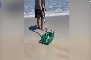 Видео: Мужчина позаимствовал корзину из магазина, чтобы вернуть ядовитую змею в море