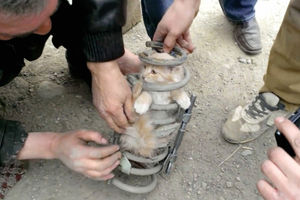 Спасение застрявшего котенка из под автомобильной пружины от амортизатора