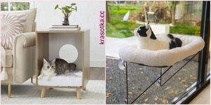 Мебель для домашних животных: 10 вариантов, от которых вы будете в восторге
