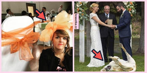 Ах эта свадьба: 10 снимков с торжества, которые точно запомнятся и станут семейной легендой