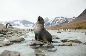Отпуск в Арктике и Антарктике: как путешествует фотограф-экспедитор