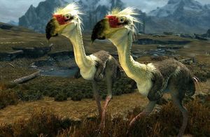 Видео: Фороракос — хищная птица, которая была страшнее тираннозавров