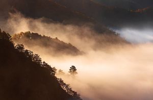 Фото дня: туман в горах Китая