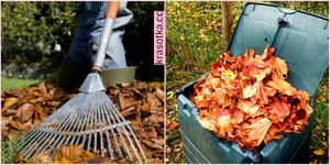 Пустите в ход опавшую листву: 8 удачных идей для применения в хозяйстве