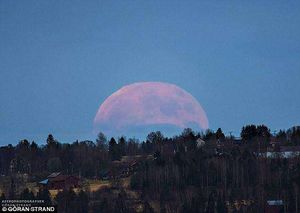 Сегодня можно увидеть самую красивую луну за последние полвека