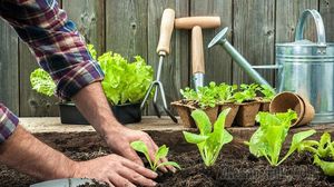6 мифов об органическом земледелии, которые перевернут ваше представление о нем