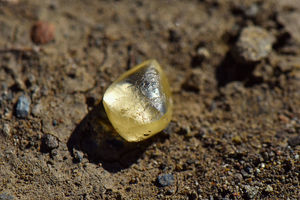 Американская пенсионерка нашла редкий бриллиант за час копания в грязи