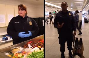 Видео: Как в аэропортах ищут и утилизируют запрещенные продукты питания