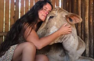 Видео: Как изменилась бездомная корова в руках новой заботливой хозяйки всего за месяц