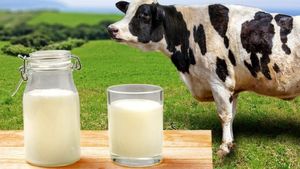 Молоко и его заменители: что полезно, что вредно