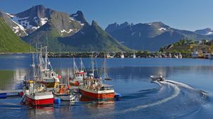 Продавайся рыбка большая и маленькая: норвежские рыбаки требуют отмены антироссийских санкций