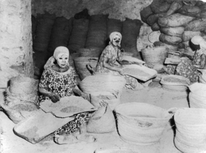 Фотографии Жан-Филиппа Шарбонье. 1953. Йемен