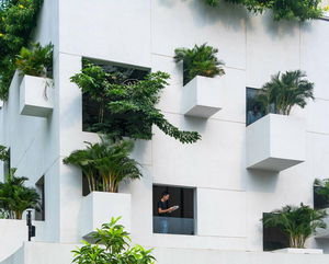 Вьетнамские архитекторы тоже умеют: Дом в плотной застройке с внутренними садами и бассейном