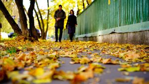 «Желтый» уровень погодной опасности объявили в столице и Подмосковье на 20 октября