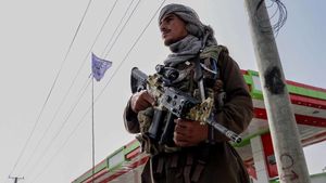 Посол России в Кабуле ответил на вопрос о признании «Талибана»*