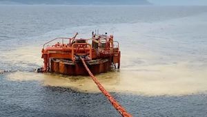 Росприроднадзор оценил ущерб от разлива нефти под Новороссийском