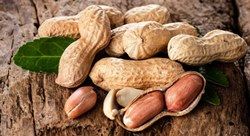 Ученые: арахис полезен для мозга