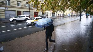 Десять процентов месячной нормы осадков выпало за прошедшие сутки в Москве