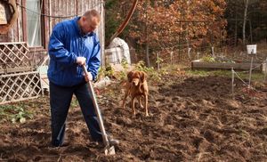 Подготовка огорода к зиме – все про осеннюю обработку почвы