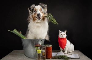 Приготовить «суп с котом» и еще 11 вещей, которыми можно заняться дома на каникулах
