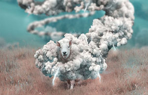 Виртуоз-фотошопер создаёт иллюстрации фантастических животных, которые уводят от реальности