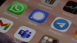 Роскомнадзор внес Telegram и LiveJournal в реестр социальных сетей