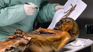 Ледяная мумия Эци: чем болел и как выглядел человек, живший 5000 лет назад