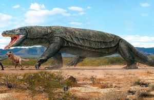 Видео: На что была способна самая гигантская ящерица в истории мегалания