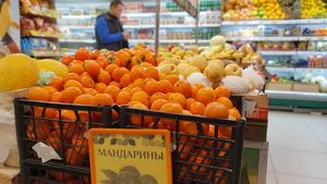 Нутрициолог Чернышова дала советы, как правильно выбрать мандарины