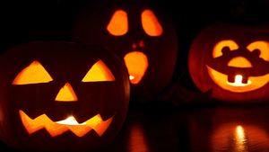 Москвичи потратили более двух миллионов рублей на покупку тыкв для Хеллоуина