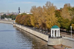 Спасатели достали собаку из воды в Парке Горького в Москве