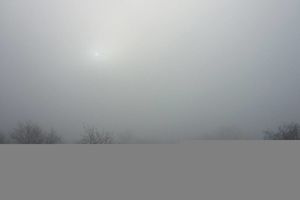 Сильный туман сохранится в Москве до утра 2 ноября