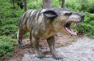 Видео: Как вымер гиенодон — доисторический хищник, которого опасались саблезубые львы
