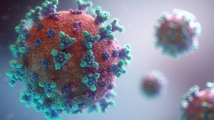 В России за сутки выявлено 40 443 случая коронавируса