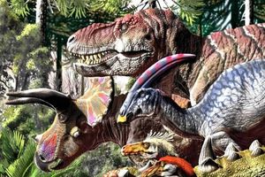 Подтверждено, что вымирание динозавров началось задинозавров началось задолго до падения астероида  
