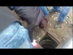 Автослесари спасли щенка из канализации