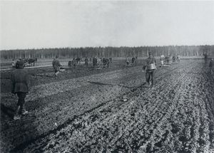 Российские помещики в конце XIX века променяли землю на ренту