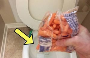 Чтобы доказать свое мнение, сантехник нарочно смыл целую миску моркови в унитаз