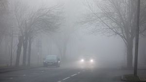 Автомобилистов предупредили о густом тумане в столице ночью 5 ноября