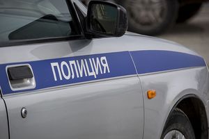 Уголовное дело возбудили по факту избиения мужчины с ребенком в Новой Москве