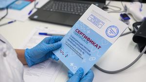 Обновленный сертификат о вакцинации можно будет получить с 8 ноября