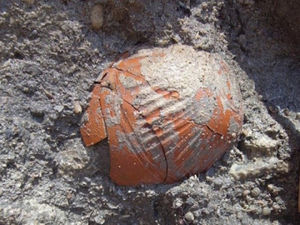 В Салехарде рыбак нашел клад с предметами I века до нашей эры