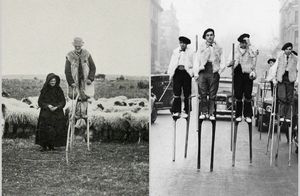 Когда ходули были необходимостью: как французские пастухи пасли овец