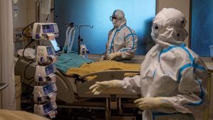 Впервые за все время пандемии в России за сутки от ковида умерли больше 1200 человек