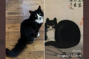 Вашего кота нарисовал Пикассо