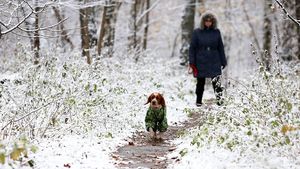 Метеоролог рассказала, когда в Москве образуется устойчивый снежный покров