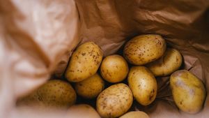 Житель Подмосковья похитил почти две тонны картошки